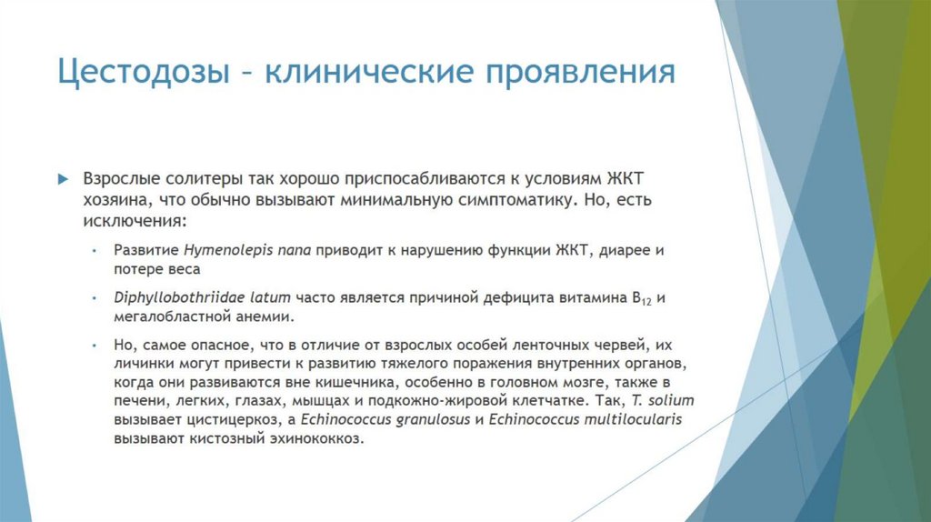 Цестодозы – клинические проявления