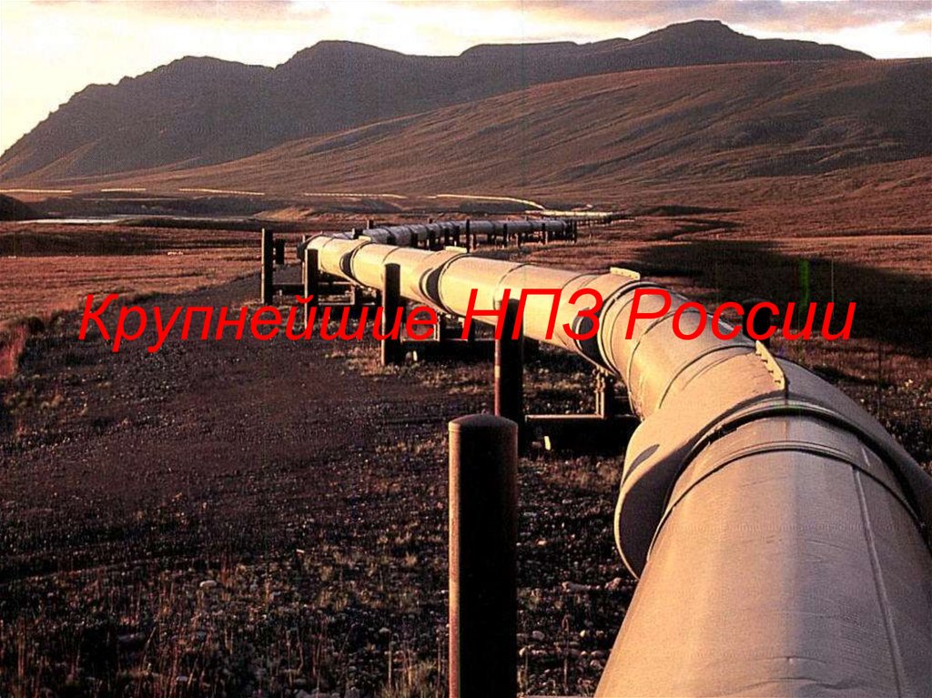 Крупнейшие НПЗ России