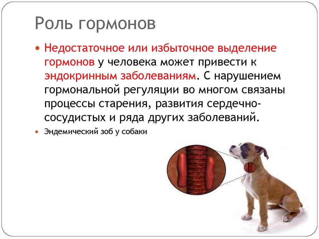 Роль гормонов