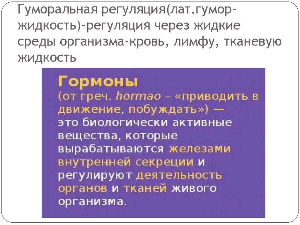 Гуморальная регуляция(лат.гумор-жидкость)-регуляция через жидкие среды организма-кровь, лимфу, тканевую жидкость