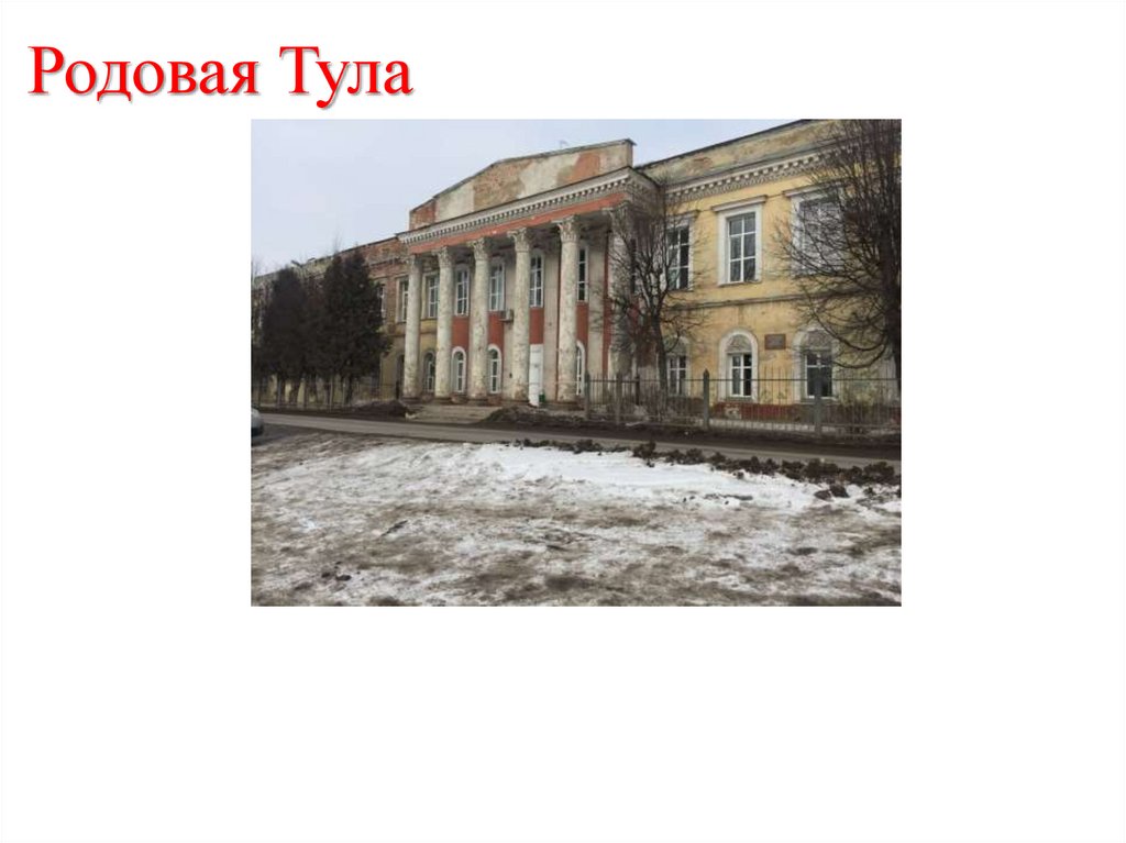 Родовая Тула