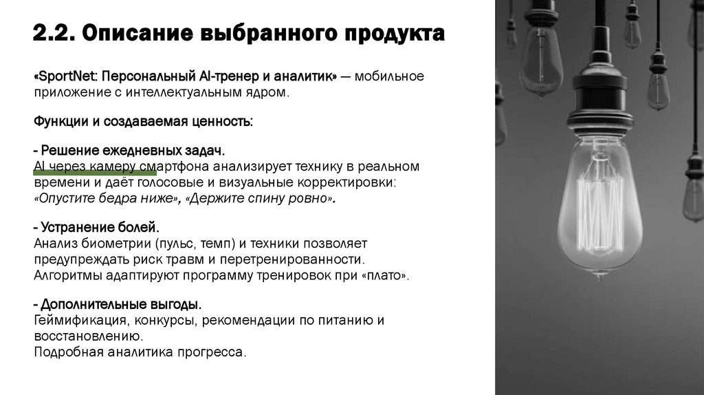 2.2. Описание выбранного продукта