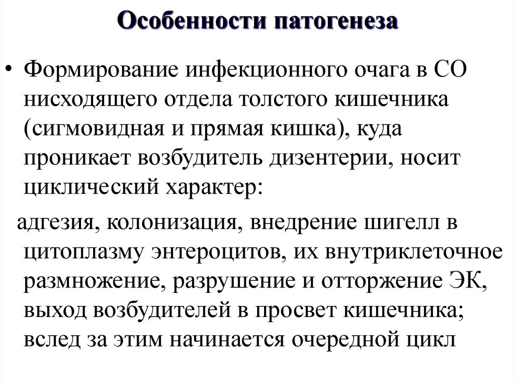 Особенности патогенеза
