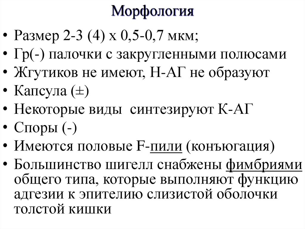 Морфология