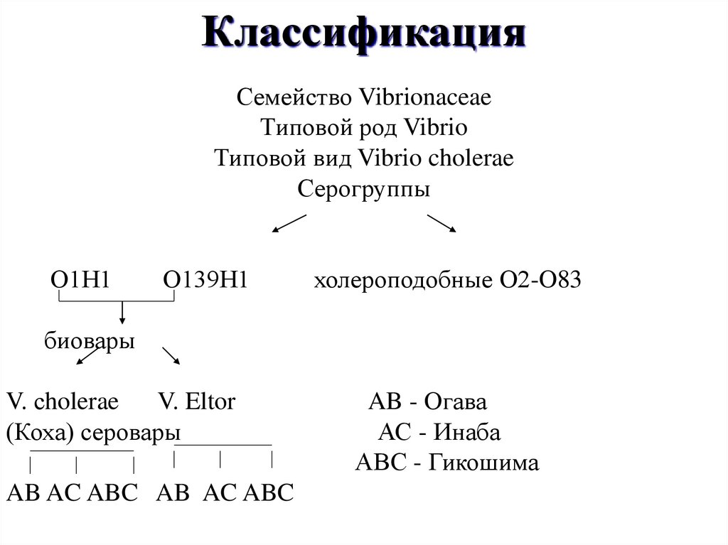 Классификация
