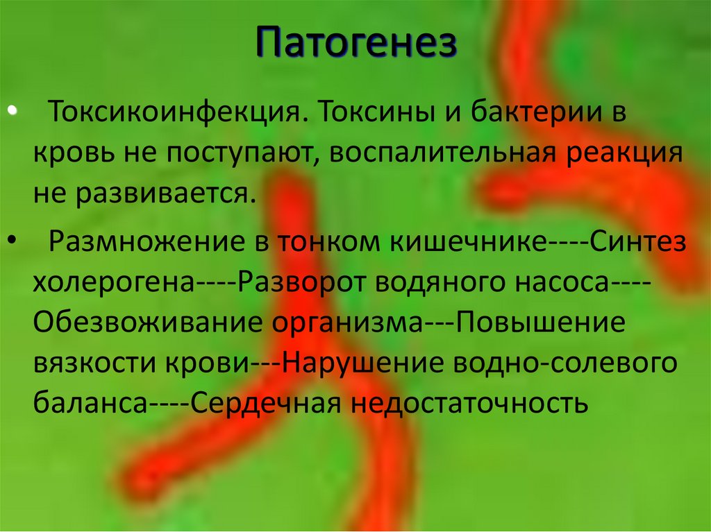 Патогенез
