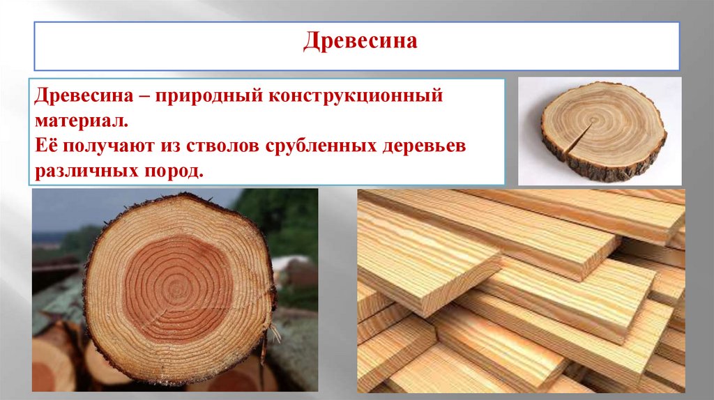 Начнем с изучения конструкционного материала Древесина