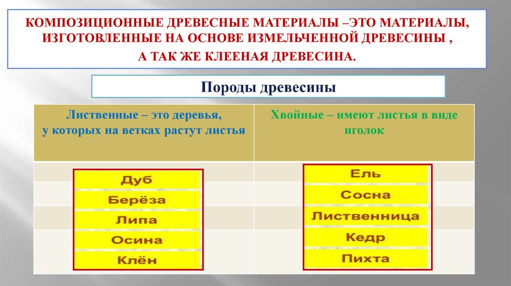 Породы древесины