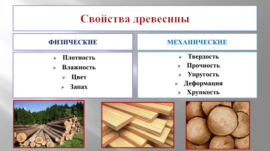Свойства древесины