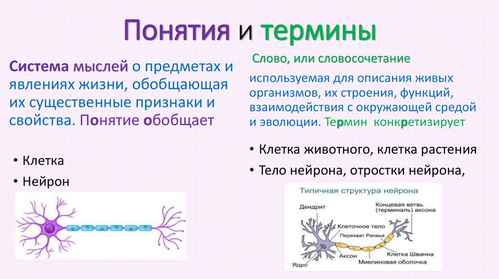 Понятия и термины