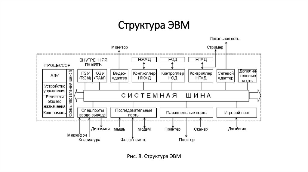 Структура ЭВМ