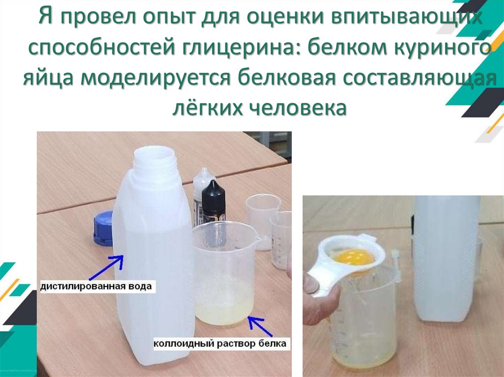 Я провел опыт для оценки впитывающих способностей глицерина: белком куриного яйца моделируется белковая составляющая лёгких