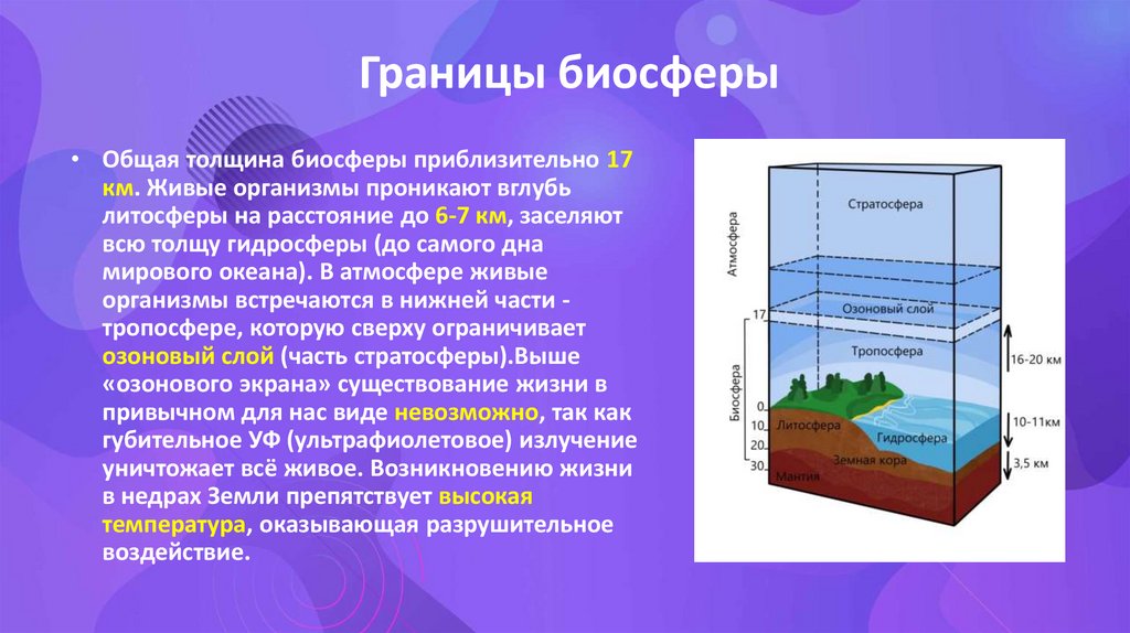 Границы биосферы