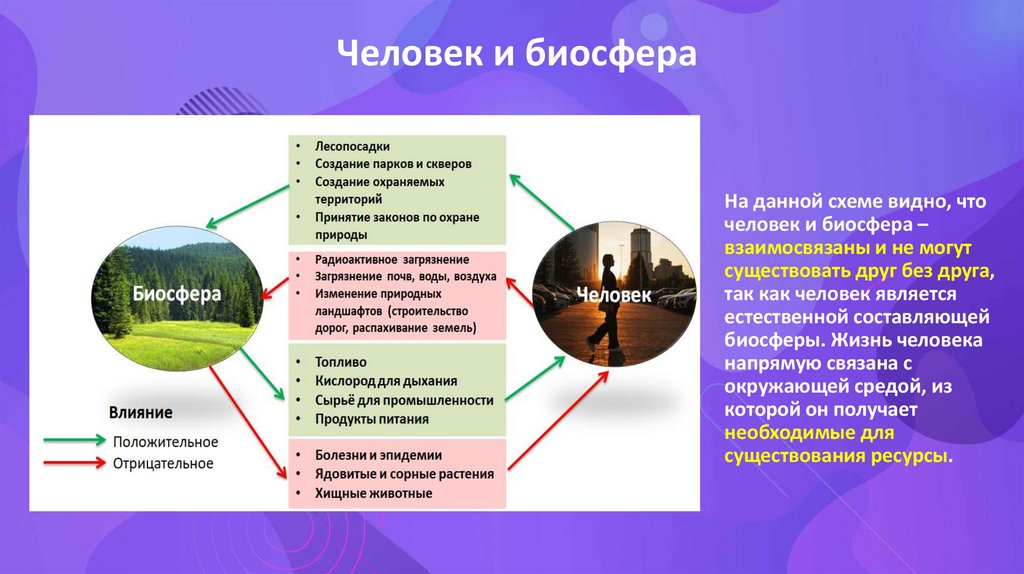 Человек и биосфера