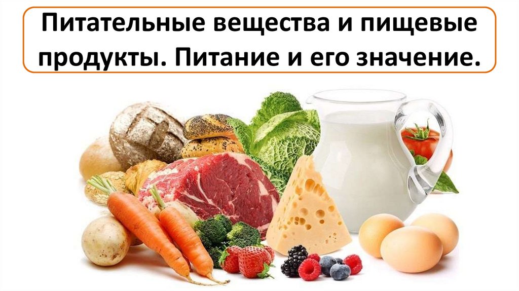 Питательные вещества и пищевые продукты. Питание и его значение.