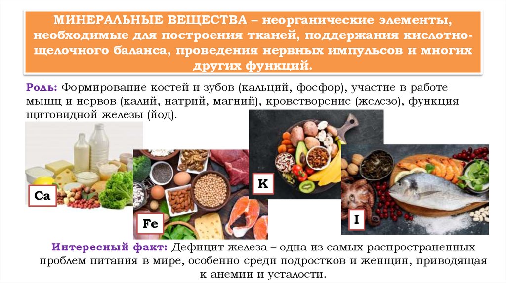 МИНЕРАЛЬНЫЕ ВЕЩЕСТВА – неорганические элементы, необходимые для построения тканей, поддержания кислотно-щелочного баланса,