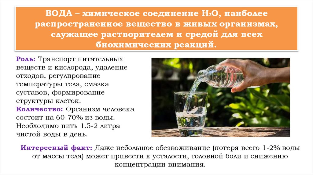 ВОДА – химическое соединение H₂O, наиболее распространенное вещество в живых организмах, служащее растворителем и средой для