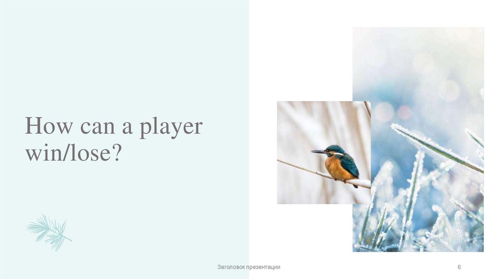 How can a player win/lose?