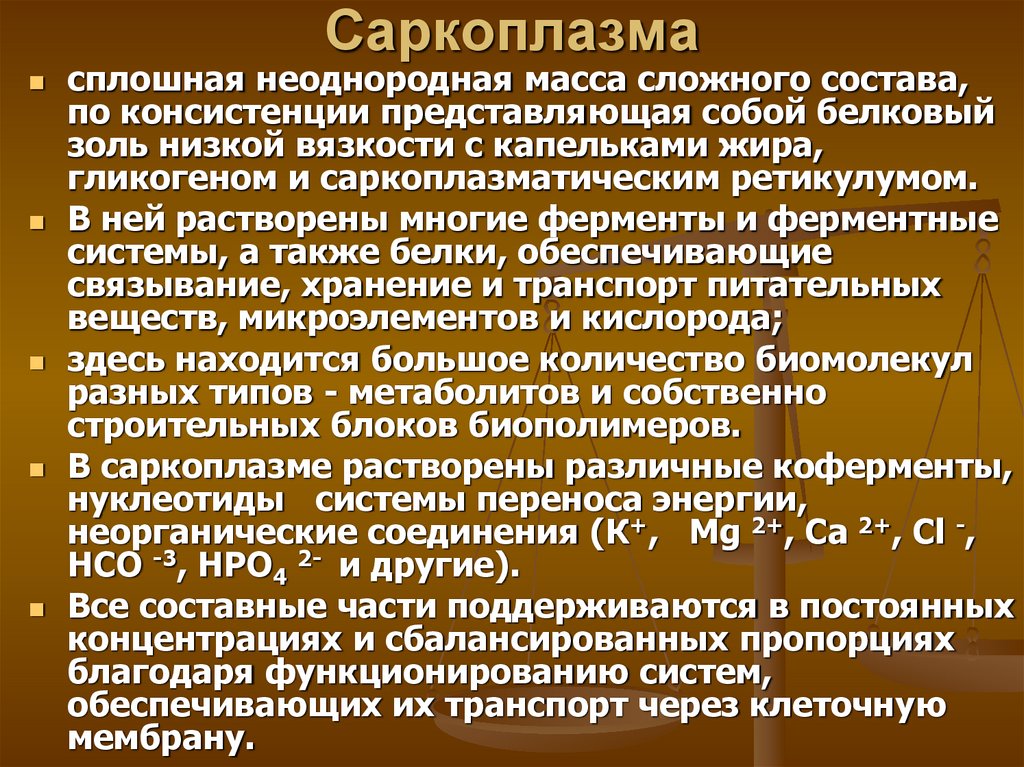 Саркоплазма