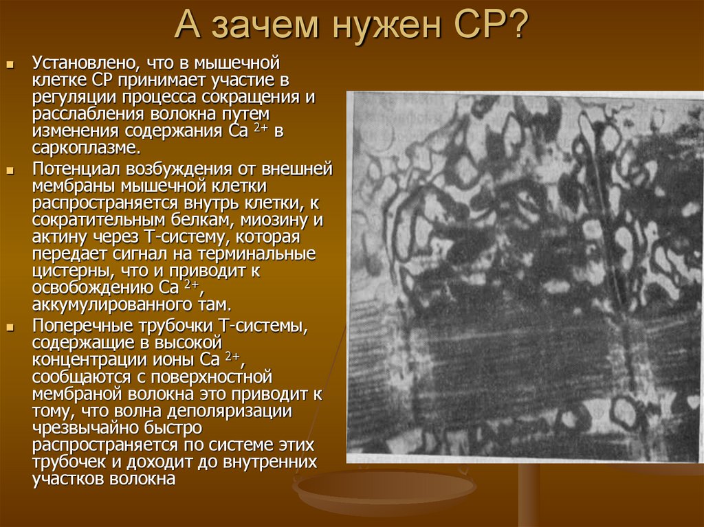 А зачем нужен СР?