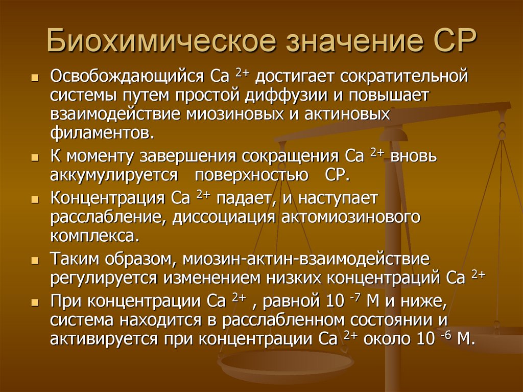 Биохимическое значение СР