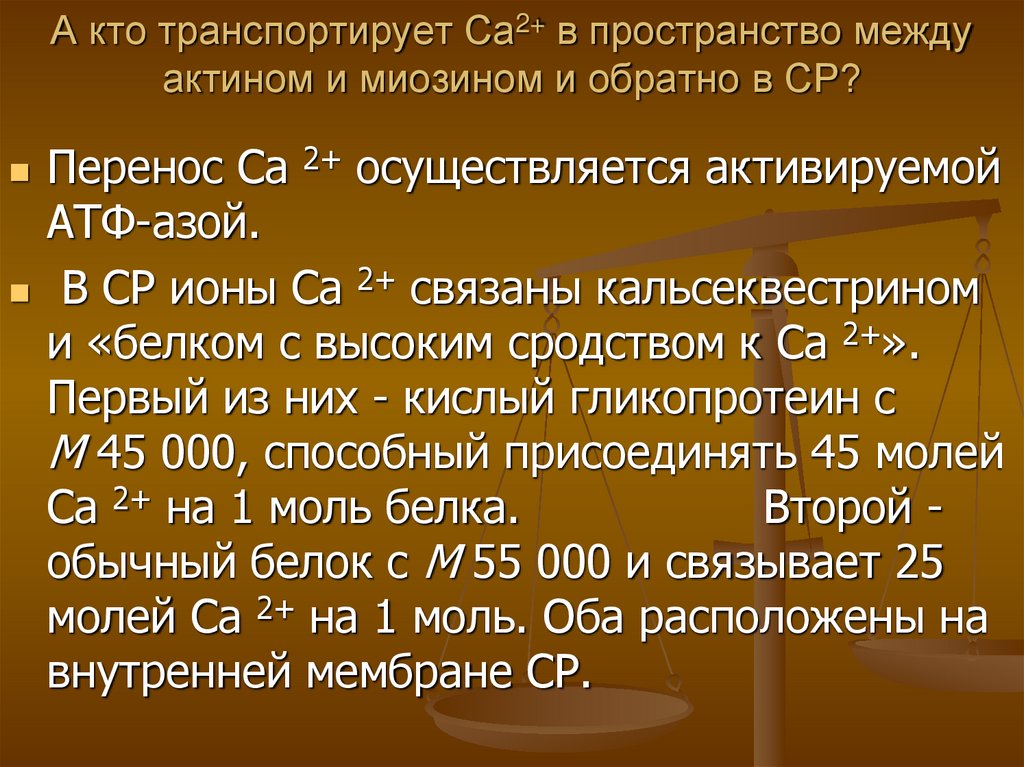 А кто транспортирует Са2+ в пространство между актином и миозином и обратно в СР?