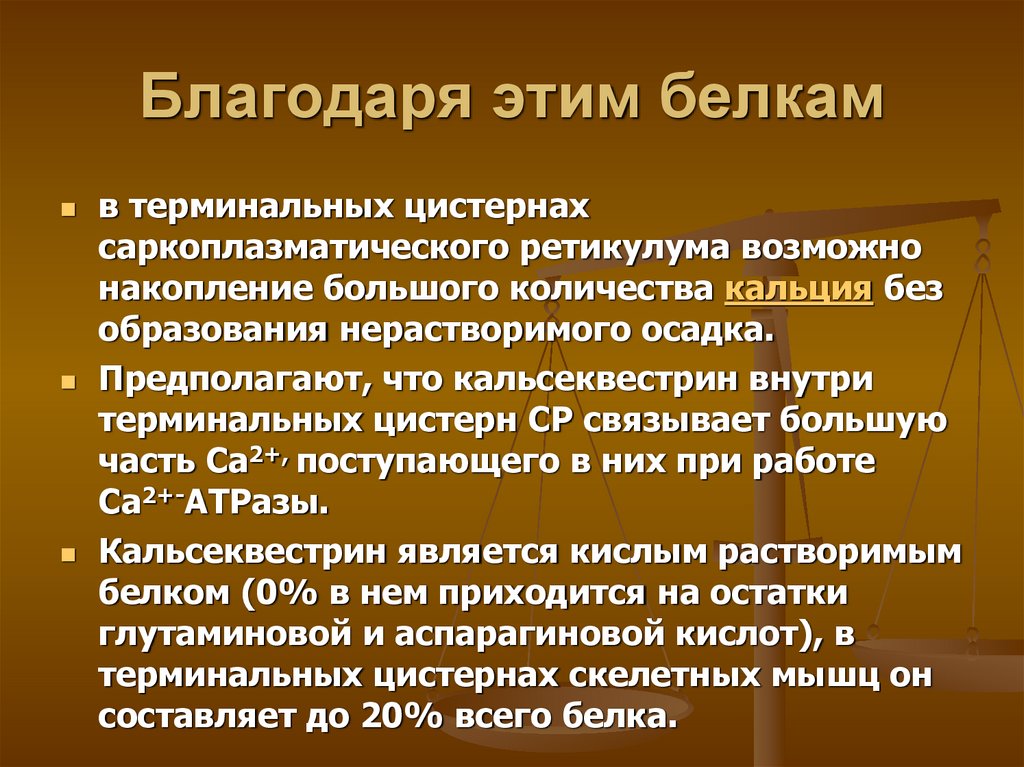 Благодаря этим белкам