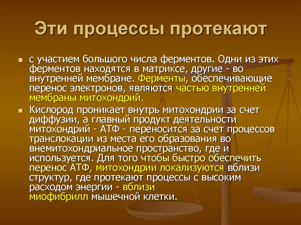 Эти процессы протекают