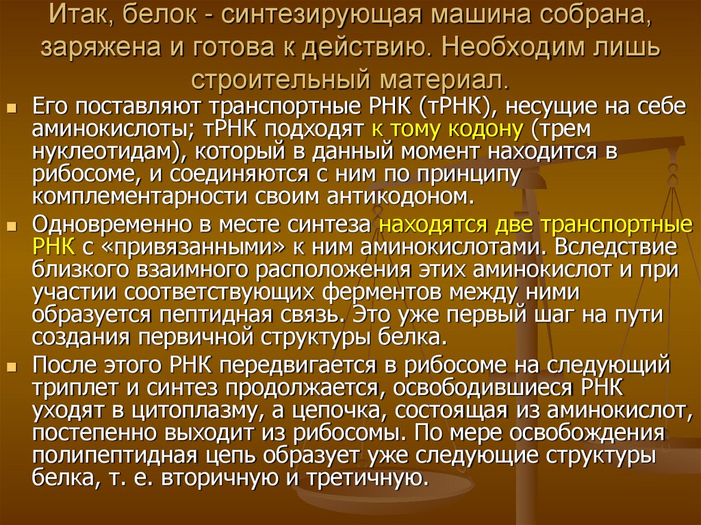 Итак, белок - синтезирующая машина собрана, заряжена и готова к действию. Необходим лишь строительный материал.