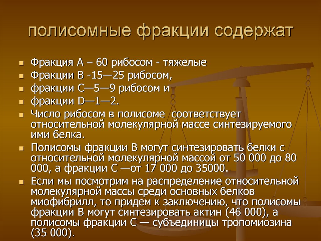 полисомные фракции содержат