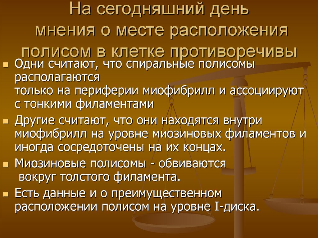 На сегодняшний день мнения о месте расположения полисом в клетке противоречивы