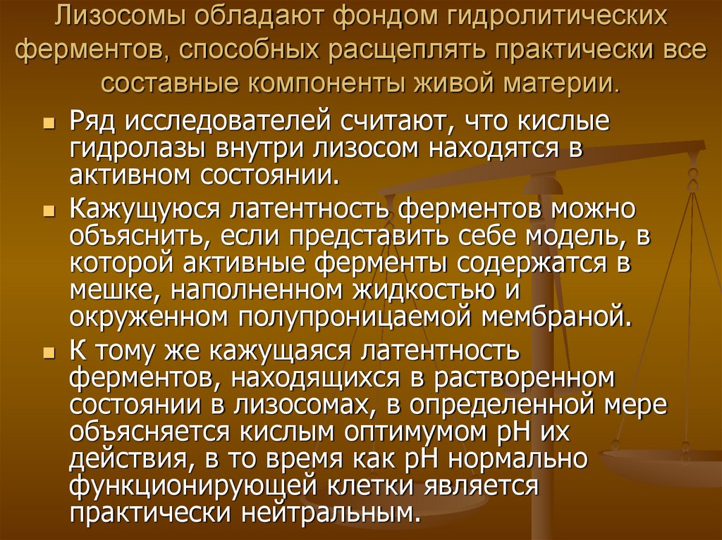 Лизосомы обладают фондом гидролитических ферментов, способных расщеплять практически все составные компоненты живой материи.