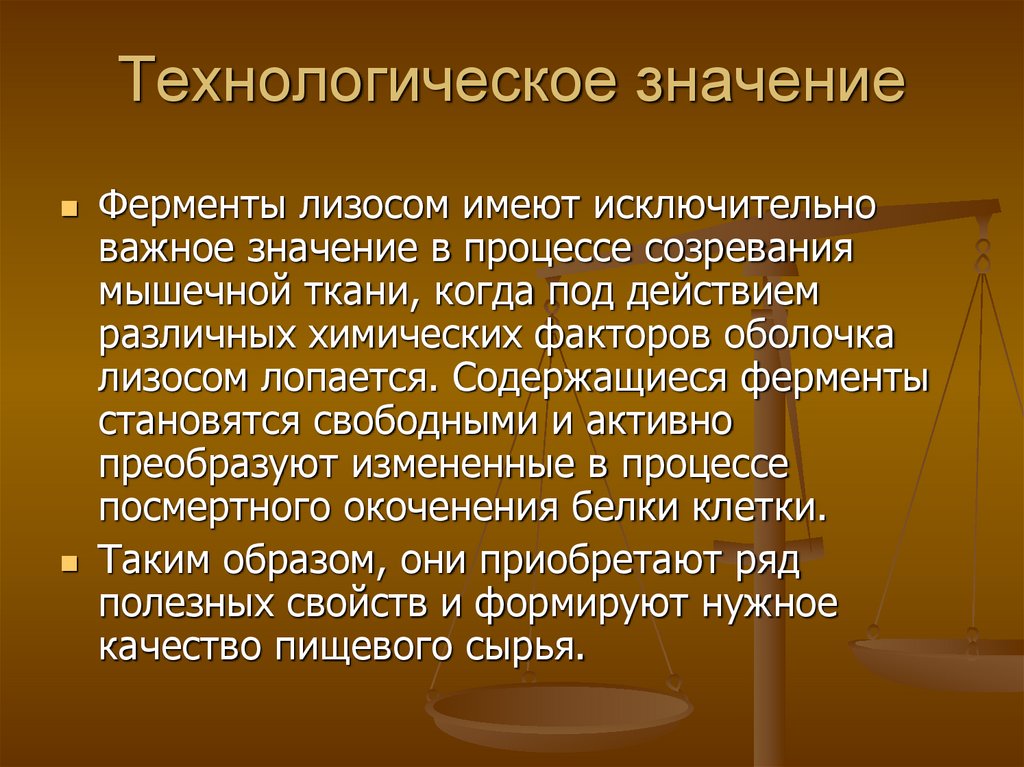 Технологическое значение