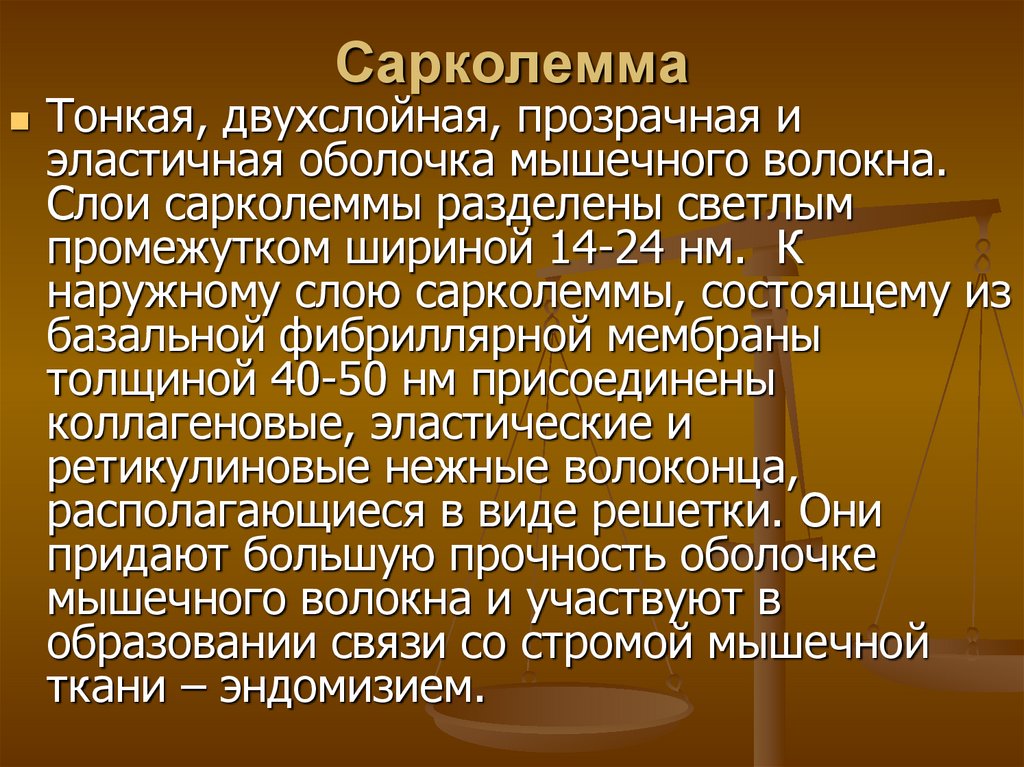 Сарколемма