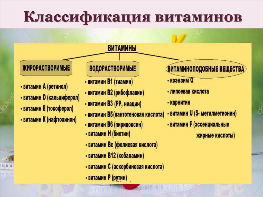 Классификация витаминов