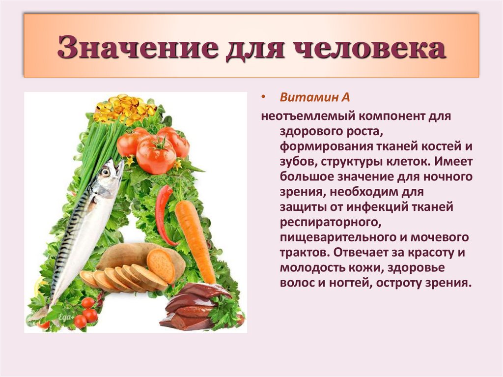 Значение для человека