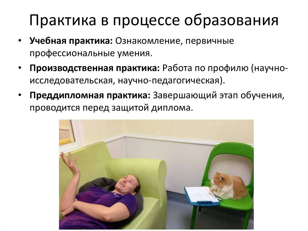 Практика в процессе образования