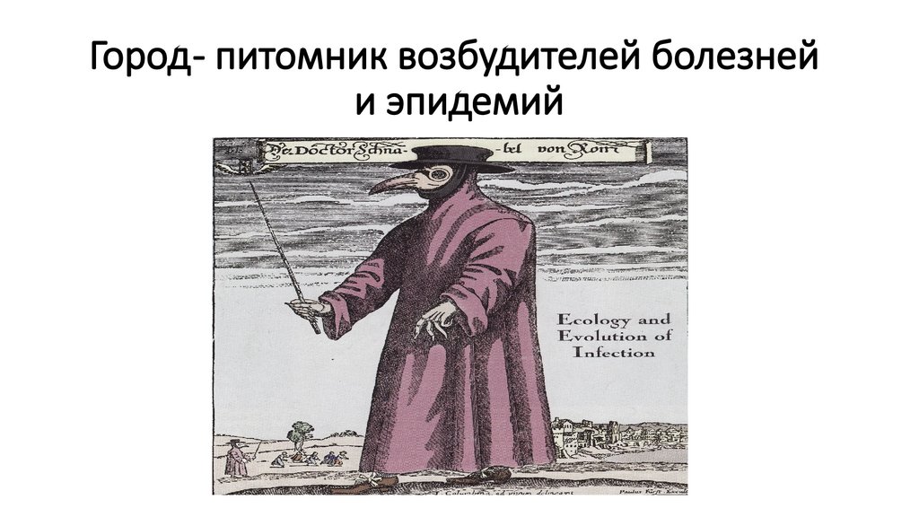 Город - питомник возбудителей болезней и эпидемий