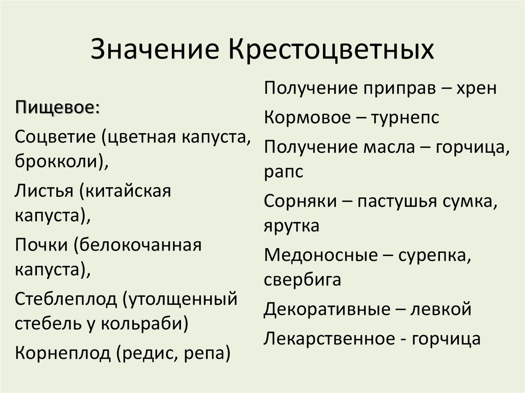 Значение Крестоцветных