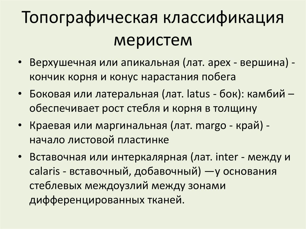 Топографическая классификация меристем