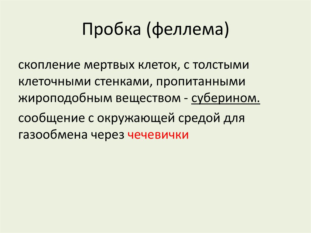Пробка (феллема)