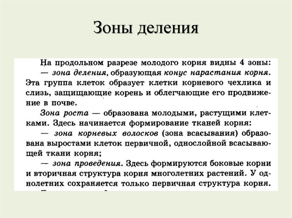 Зоны деления