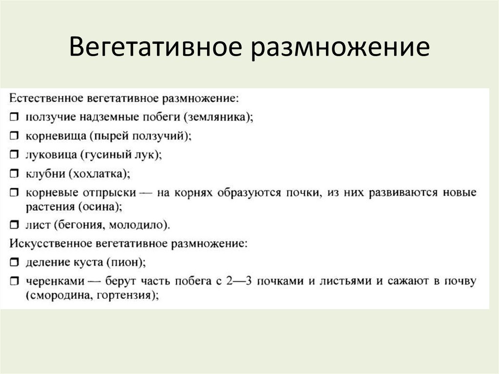 Вегетативное размножение