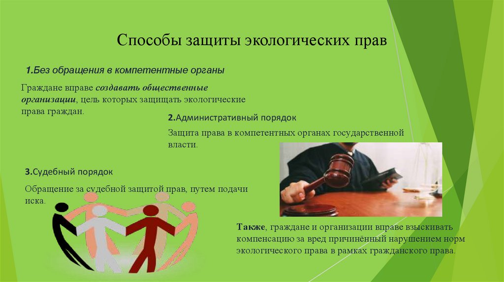 Способы защиты экологических прав