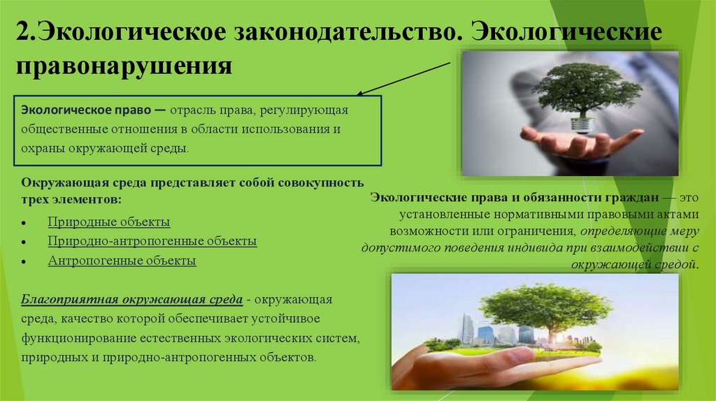 2.Экологическое законодательство. Экологические правонарушения