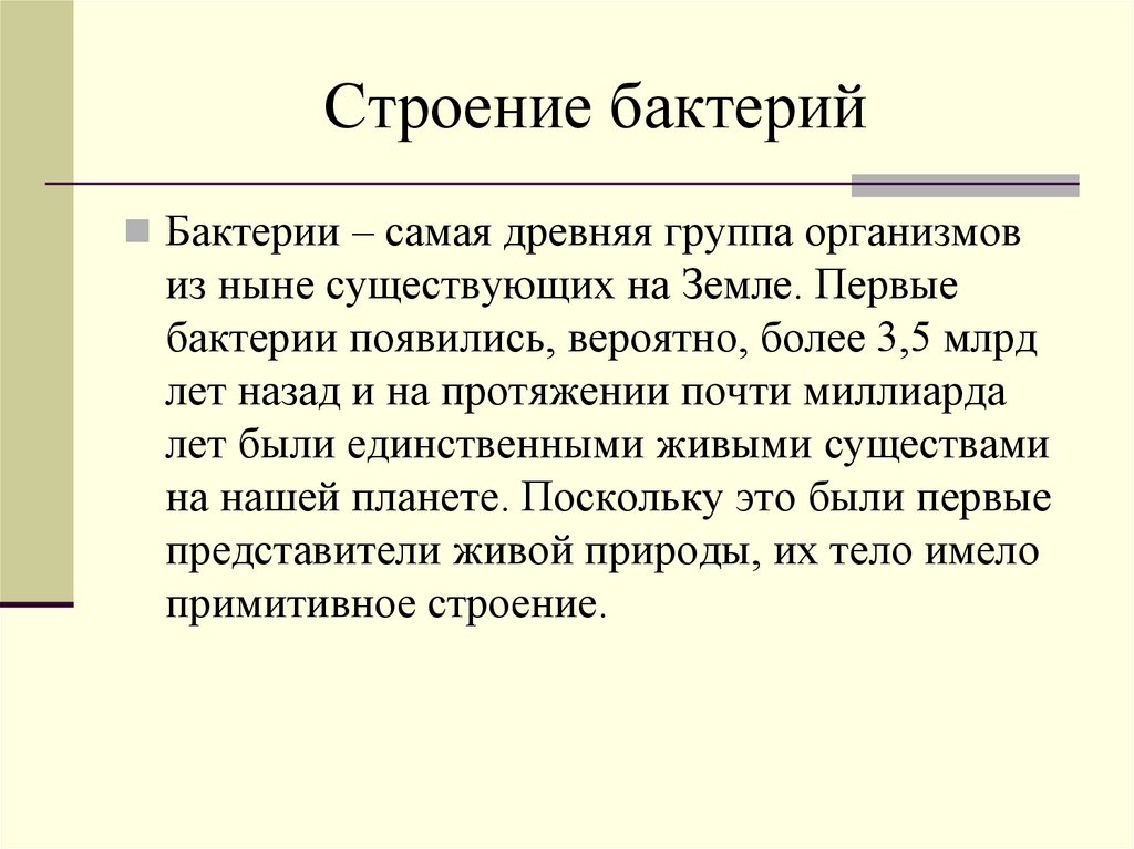 Строение бактерий