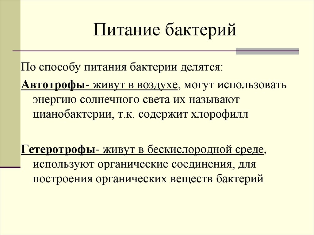 Питание бактерий