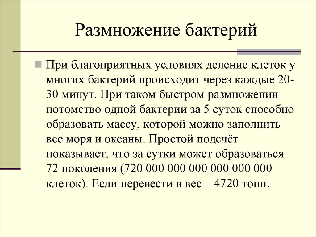 Размножение бактерий