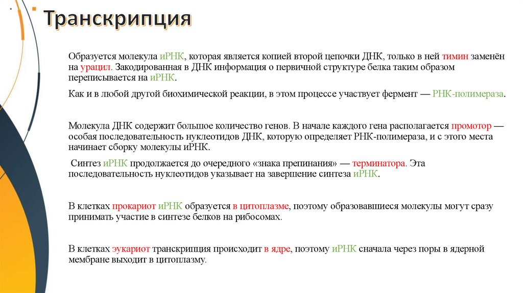 Транскрипция