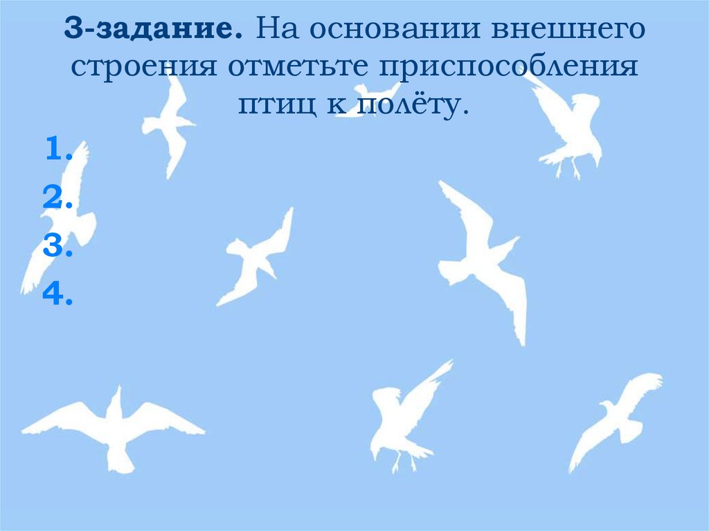 3-задание. На основании внешнего строения отметьте приспособления птиц к полёту.